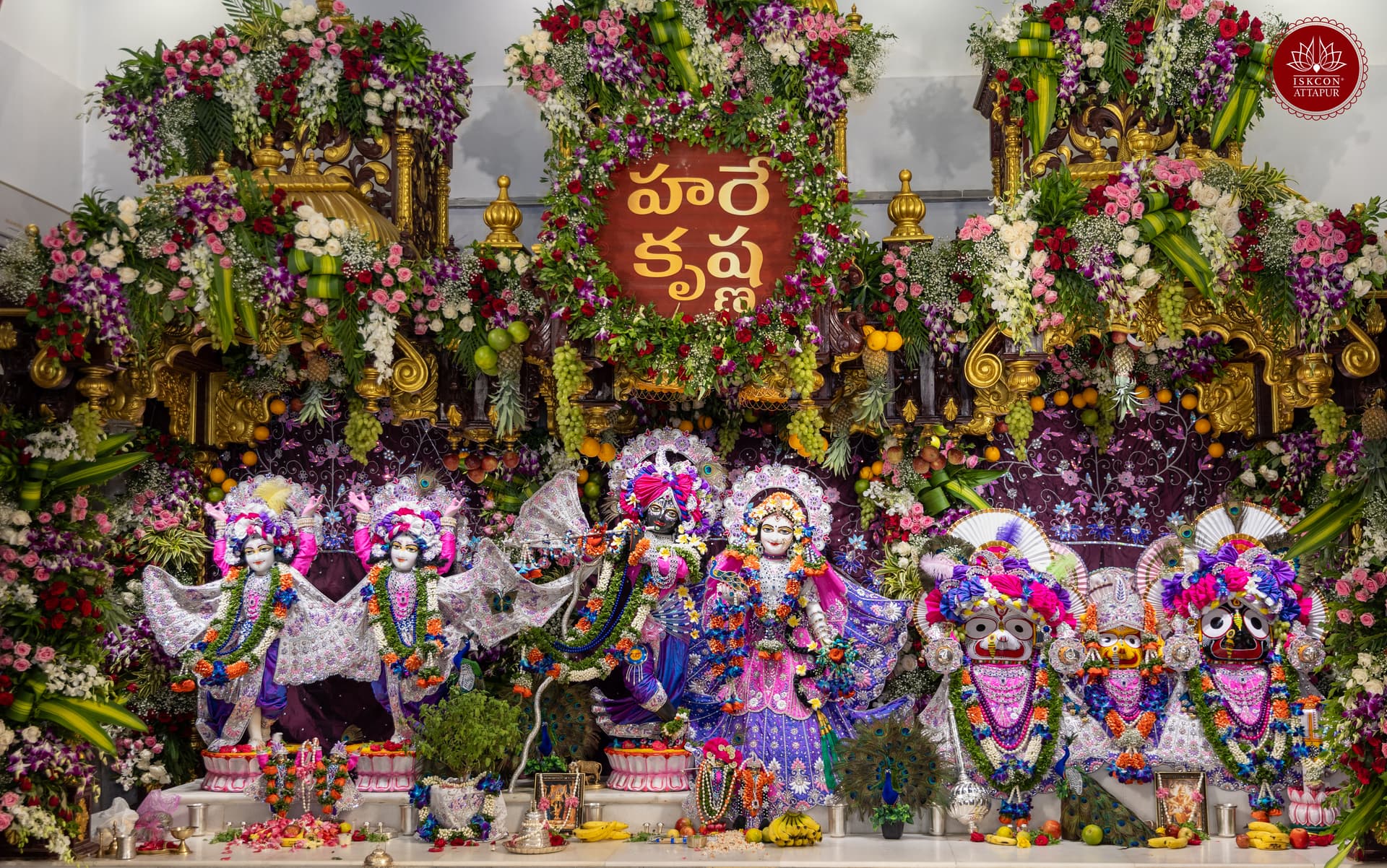 Janmashtami Celebration
